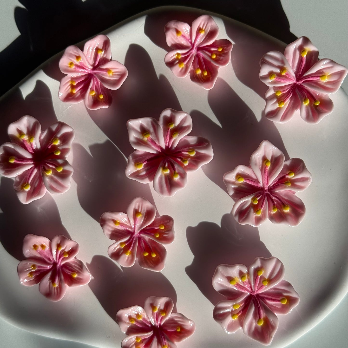 Cherry Blossom Fridge Magnets | Set of 10